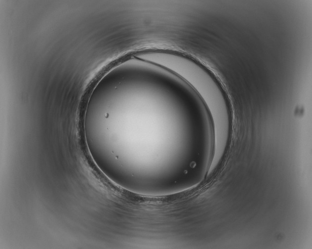 X0000111460391200907131500