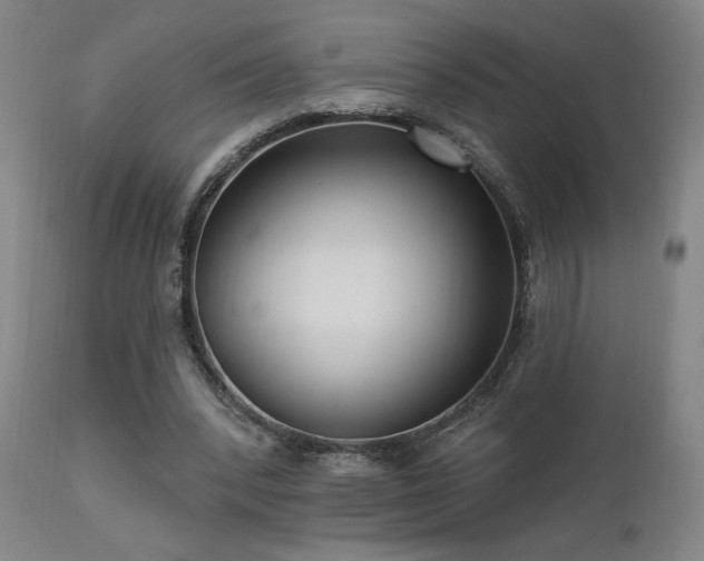 X0000111460392200907131500