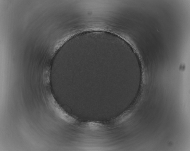 X0000111460393200907131500