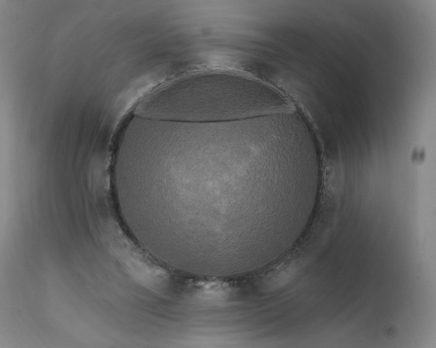 X0000111460395200907131500