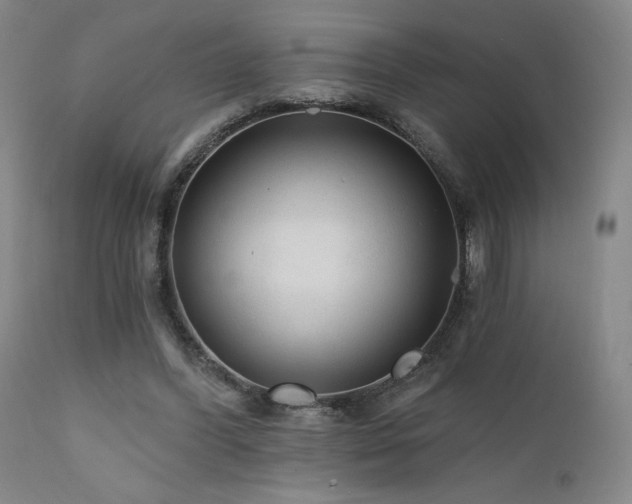 X0000111460396200907131500