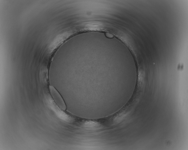 X0000111460397200907131500