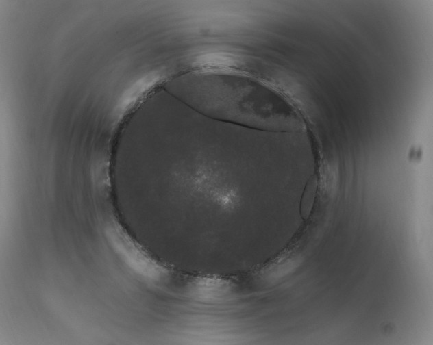 X0000111460399200907131500
