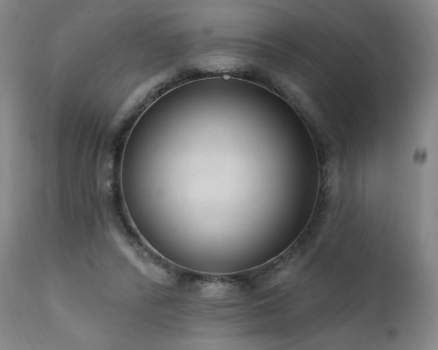 X0000111460400200907131500