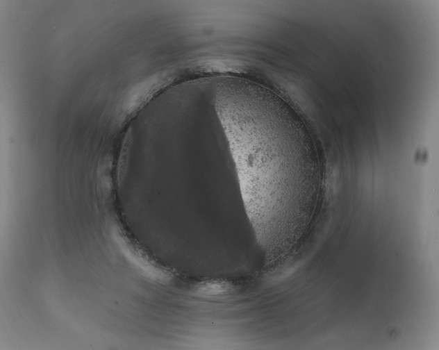 X0000111460402200907131500