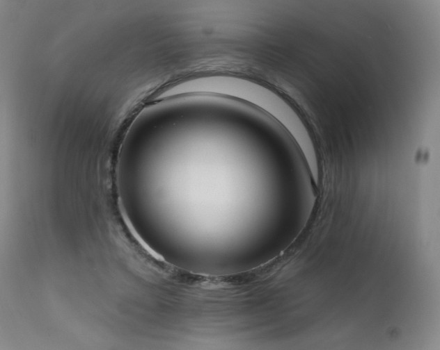 X0000111460403200907131500