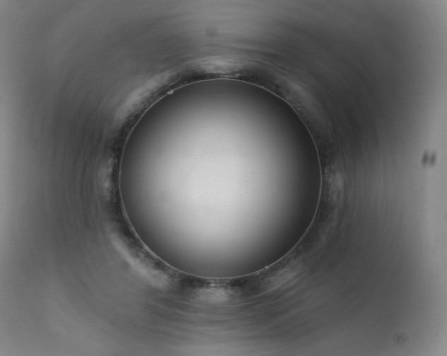 X0000111460404200907131500