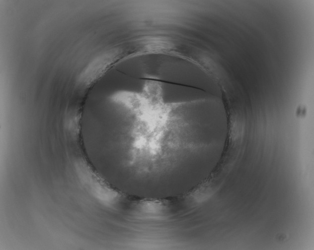 X0000111460405200907131500