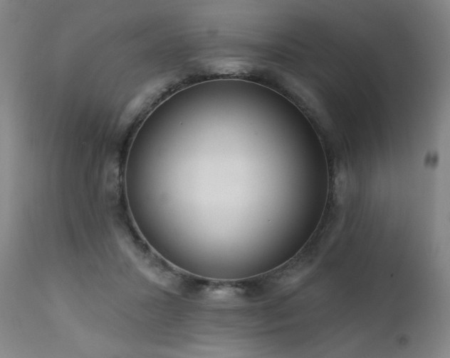 X0000111460407200907131500