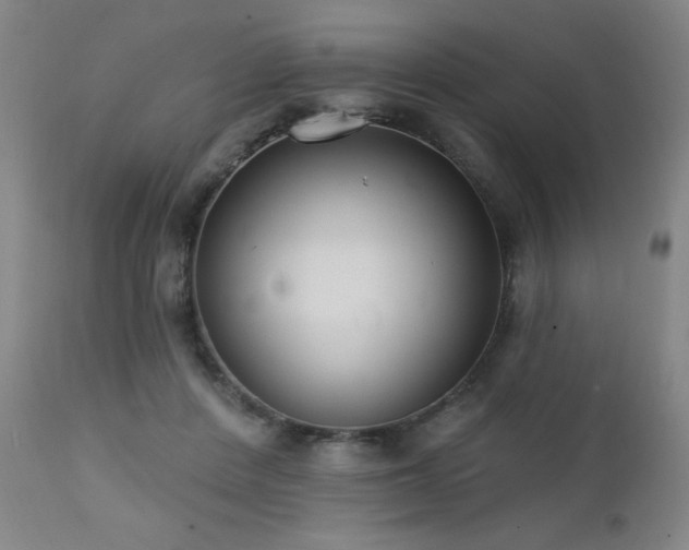 X0000111460408200907131500