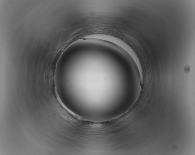 X0000111460409200907131500