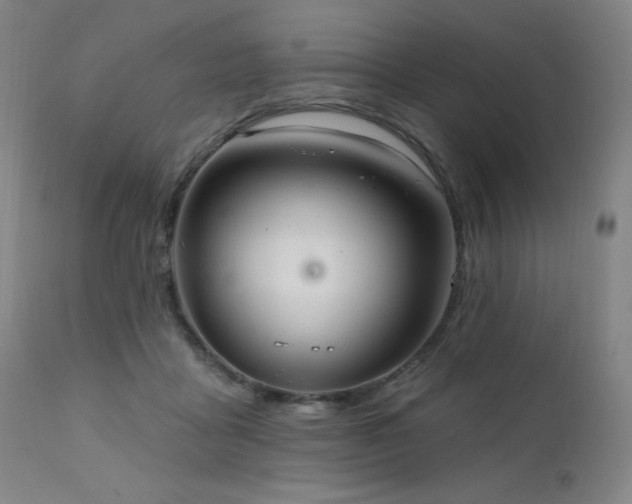 X0000111460411200907131500