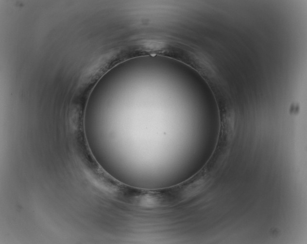 X0000111460412200907131500