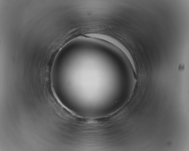 X0000111460413200907131500