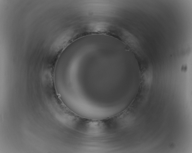 X0000111460415200907131500