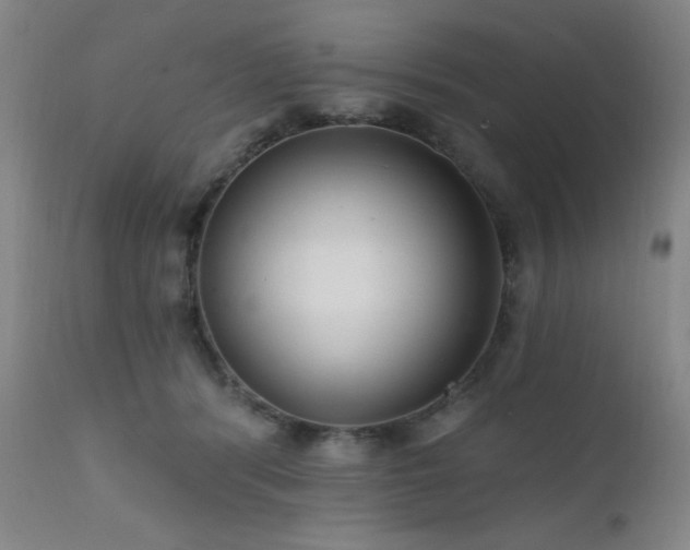 X0000111460416200907131500