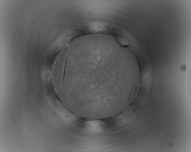 X0000111460417200907131500