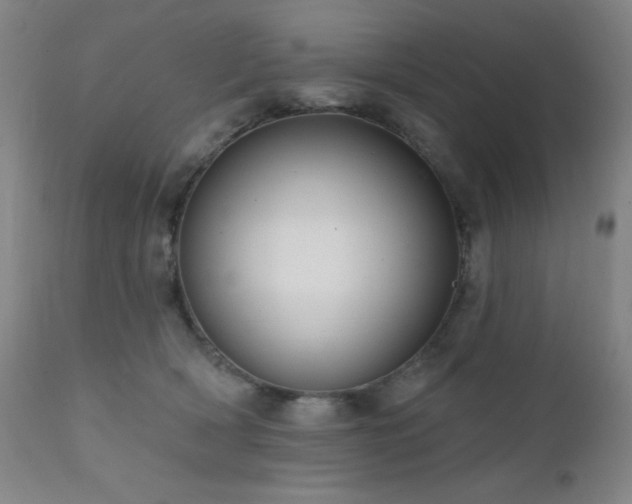 X0000111460418200907131500