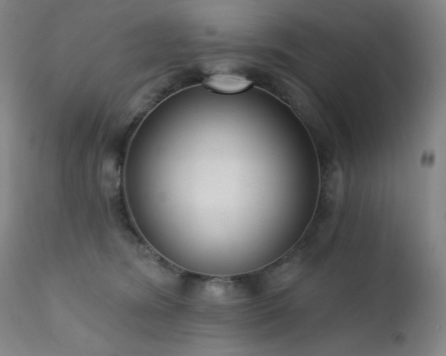 X0000111460420200907131500
