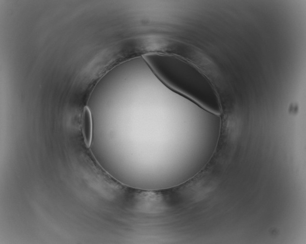 X0000111460421200907131500