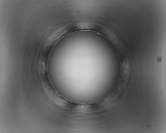 X0000111460422200907131500