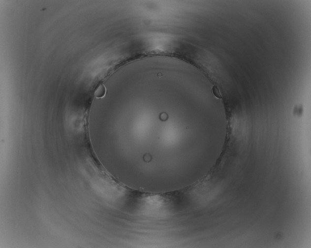 X0000111460423200907131500