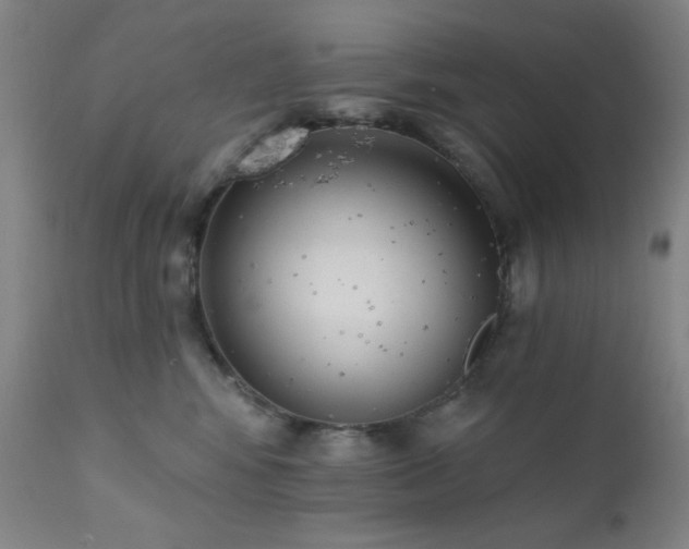 X0000111460424200907131500
