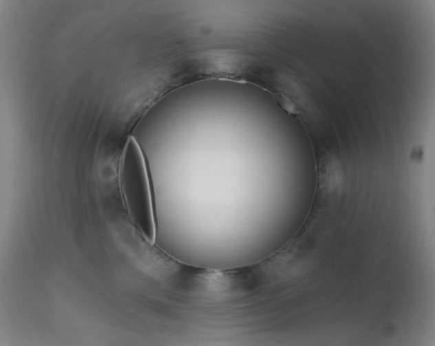 X0000111460425200907131500