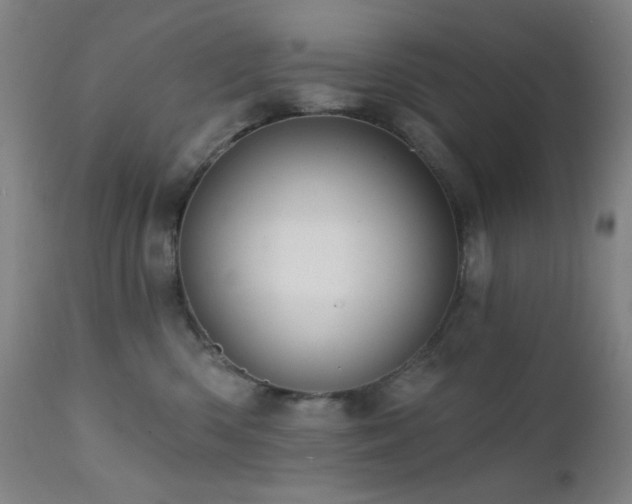 X0000111460426200907131500