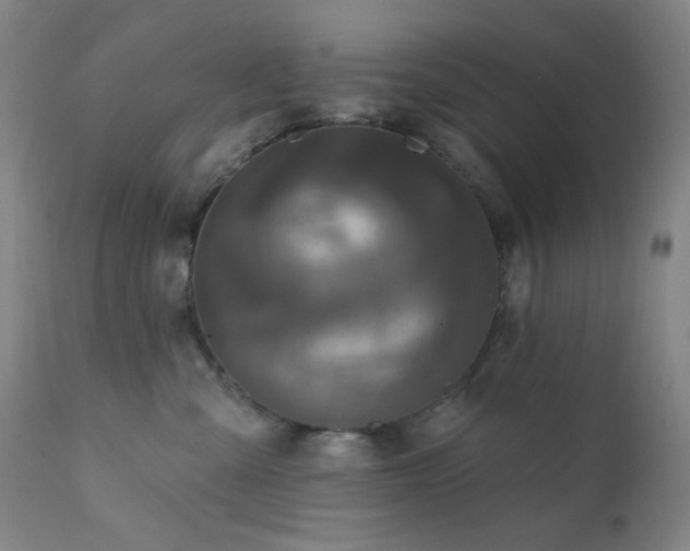 X0000111460427200907131500