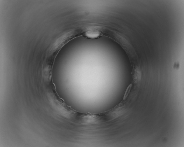 X0000111460428200907131500