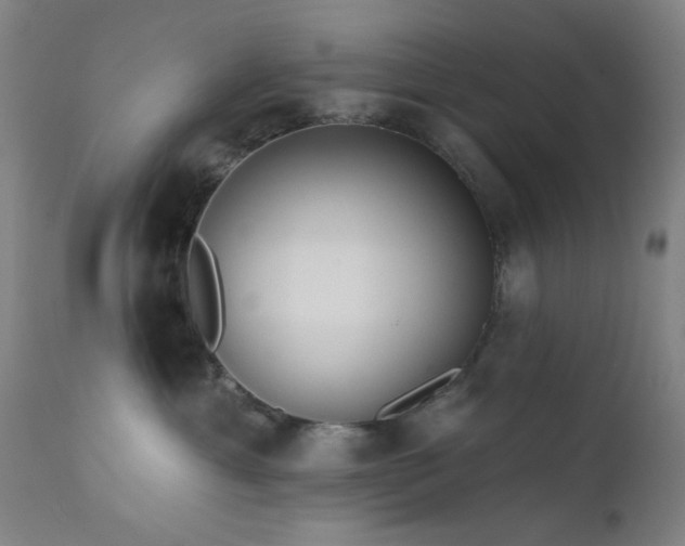 X0000111460429200907131500