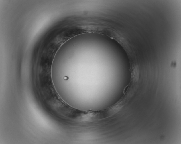X0000111460430200907131500
