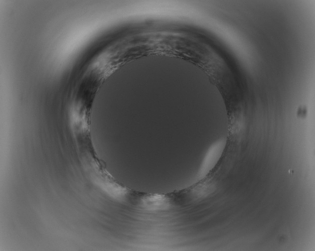 X0000111460431200907131500