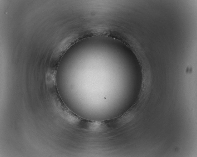 X0000111460432200907131500