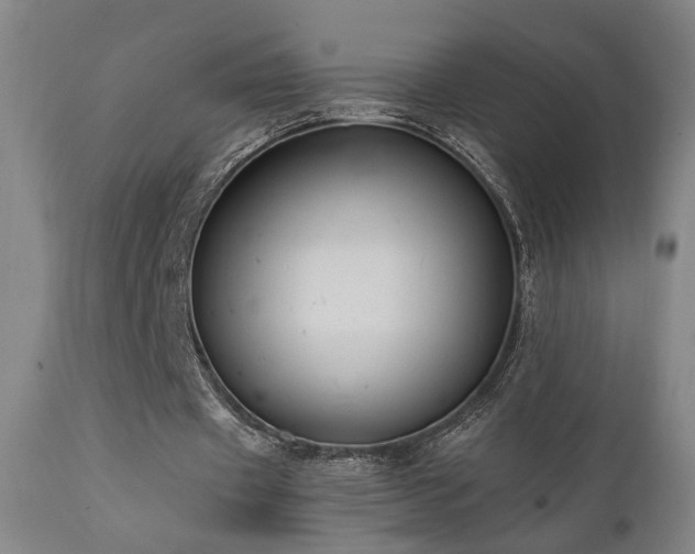 X0000111460433200907131459