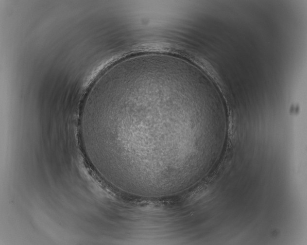 X0000111460434200907131459