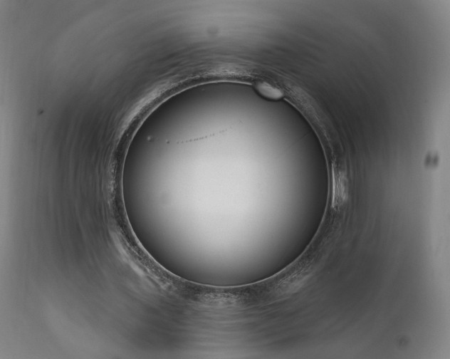 X0000111460435200907131459