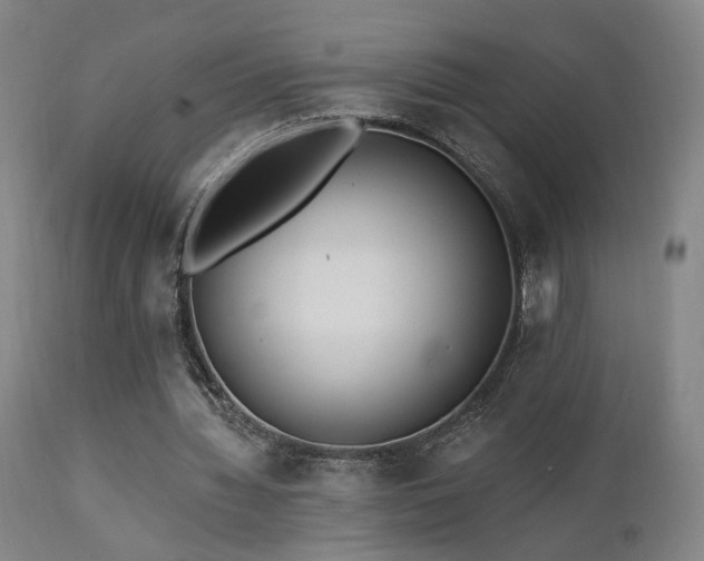 X0000111460436200907131459