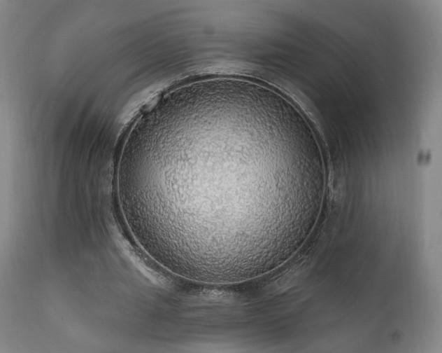 X0000111460437200907131459