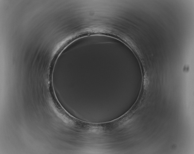 X0000111460438200907131459