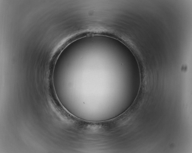 X0000111460440200907131459