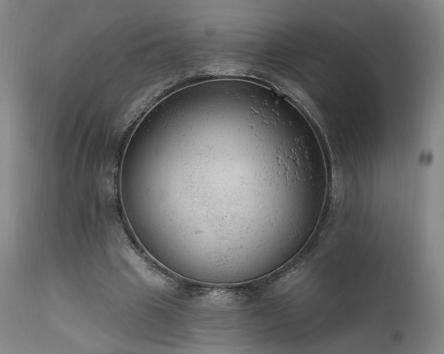 X0000111460441200907131459
