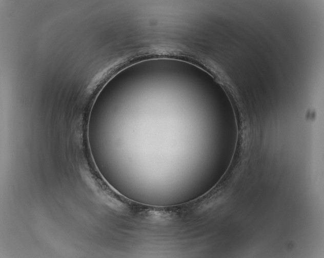X0000111460442200907131459