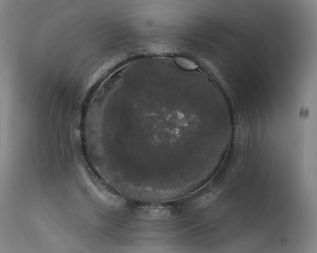X0000111460443200907131459