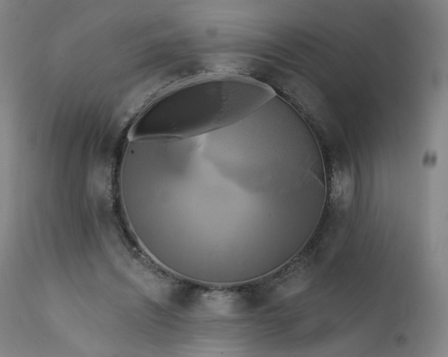 X0000111460444200907131459