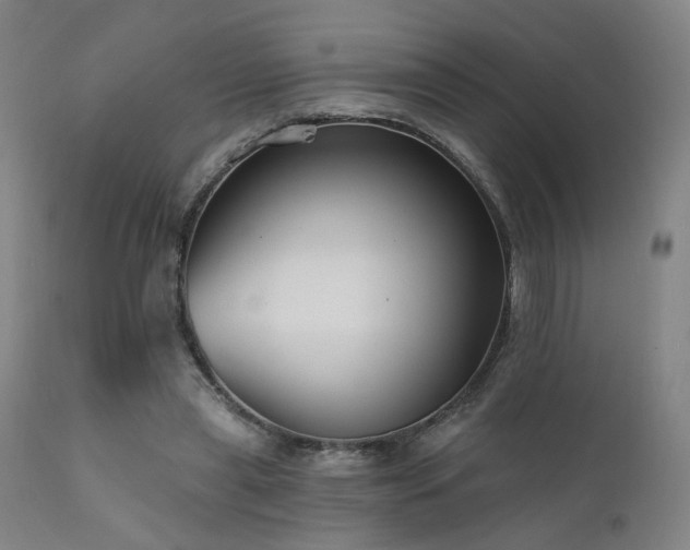 X0000111460445200907131459