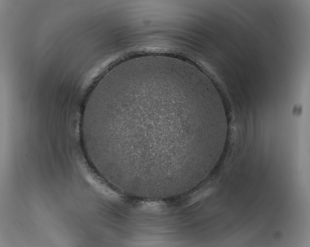 X0000111460446200907131459