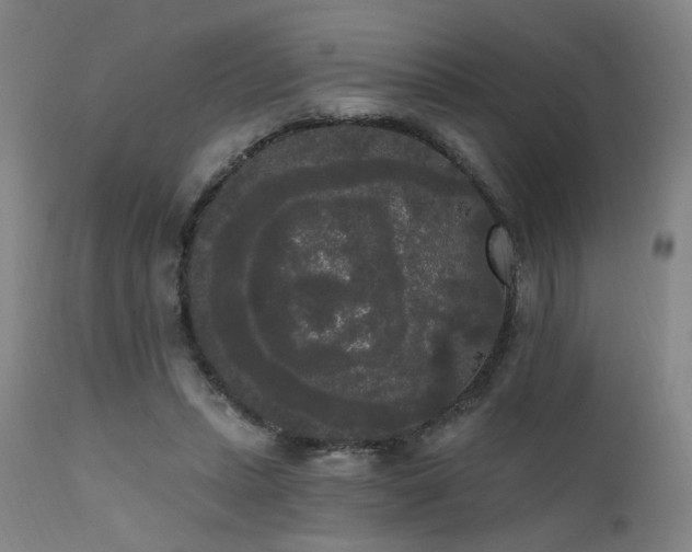 X0000111460447200907131459