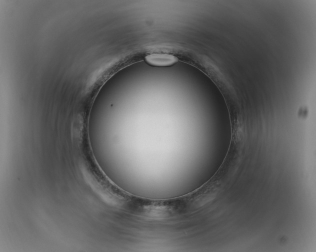 X0000111460448200907131459